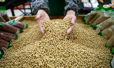 Trung Quốc nhập khẩu đậu tương đạt mức cao kỷ lục trong tháng 5/2025