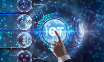 IoT trong nông nghiệp Việt Nam: Bước tiến và cách thức học hỏi từ láng giềng