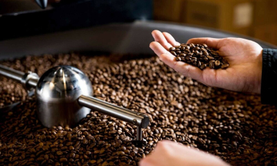 Giá cà phê tại nhà máy 235.000 đồng/kg, vì sao thị trường chỉ bán 130.000 đồng?