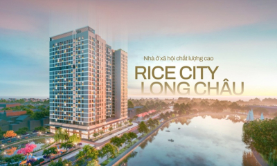Dự án nhà xã hội mới tại Long Biên giá 27 triệu một m2