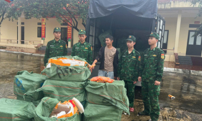 Quảng Ninh: Bắt vụ vận chuyển hơn 1 tấn trứng gà non không rõ nguồn gốc