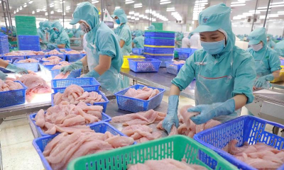 Xuất khẩu cá tra sang EU khởi sắc đầu năm 2025, nhưng vẫn còn nhiều “điểm nghẽn”