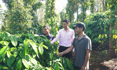 Gia Lai: Làng Kênh thoát nghèo nhờ 