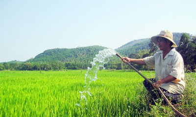 Tưới ngập – khô xen kẽ: Thay đổi nhỏ cho bài toán lớn trồng lúa