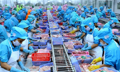 Hai kịch bản cho xuất khẩu thủy sản Việt Nam nửa cuối năm 2025