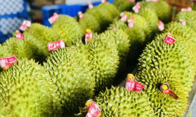 Xuất khẩu sầu riêng tiếp tục giảm vì Trung Quốc siết kiểm định
