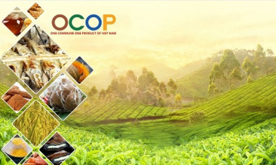 Phát triển OCOP thành thương hiệu Việt Nam, đạt chuẩn quốc tế trên thị trường toàn cầu