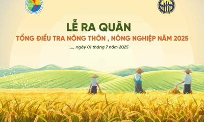 Tổng điều tra nông thôn – nông nghiệp 2025: Cơ hội tái thiết vùng sản xuất từ dữ liệu thực tiễn