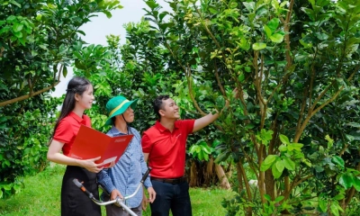 Agribank - doanh nghiệp ESG Việt Nam Xanh 2025