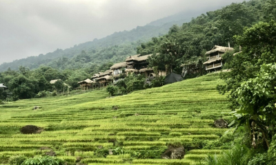 Khám phá mùa vàng trên đỉnh Pù Luông