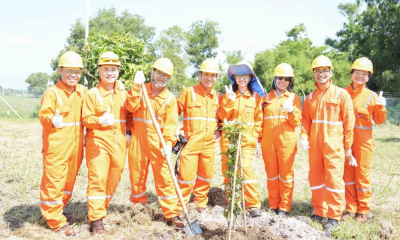 NCSP và PV GAS D chung tay phủ xanh không gian sống