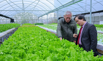 Không dễ đi đường thẳng: Những ngã rẽ của doanh nghiệp nông nghiệp