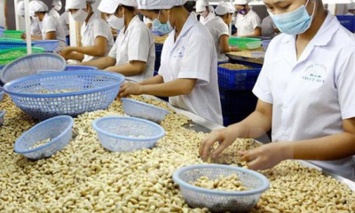 Mở rộng thị trường mới để xuất khẩu hạt điều