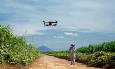 Hợp tác Gia Lai - AgriS: Hướng đến nông nghiệp xanh và chế biến sâu