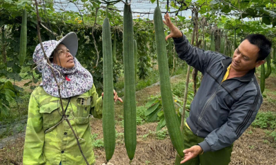 Kinh tế tuần hoàn – xu hướng tất yếu cho nền nông nghiệp hiện đại