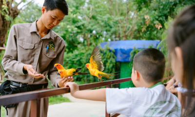 Tặng con mùa hè đáng nhớ – học điều hay từ thế giới diệu kỳ VinWonders Nam Hội An