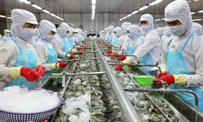 Nông, thủy sản Việt gặp khó với thuế đối ứng 20% của Mỹ