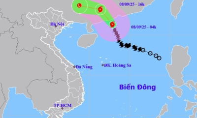 Quảng Ninh: Tạm ngừng cấp phép tàu tại khu vực biển miền Đông của tỉnh