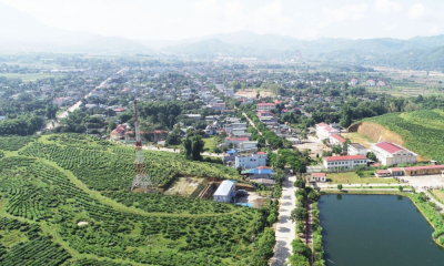 Xã Tân Uyên: Phát triển nông nghiệp du lịch xanh – xây dựng thương hiệu nhãn hiệu tập thể
