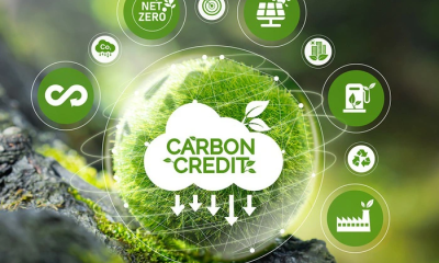 Việt Nam sắp nhận thêm 5 triệu USD từ chuyển nhượng carbon