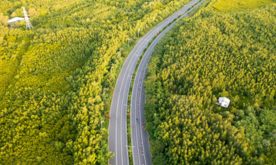  HDBank Green Marathon 2025 mở lối “đường chạy xanh” độc đáo