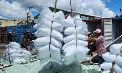 Tăng giải pháp thúc đẩy sản xuất, xuất khẩu, ổn định thị trường gạo