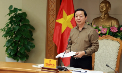 Lực lượng doanh nghiệp tăng mạnh, tiếp sức cho nông nghiệp