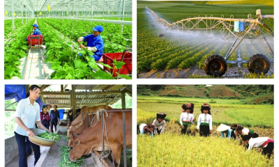 Cơ hội để nông nghiệp, nông thôn phát triển