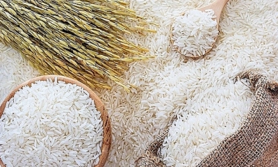 Giá gạo Thái Lan, Ấn Độ chạm mức thấp nhất trong nhiều năm