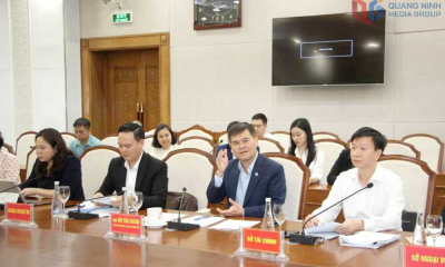Quảng Ninh: Lãnh đạo tỉnh làm việc với Tập đoàn TCL Technology