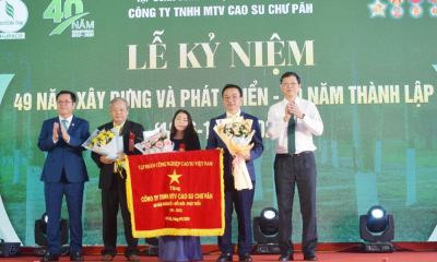 Cao su Chư Păh – vững vàng vị thế 40 năm thành lập công ty