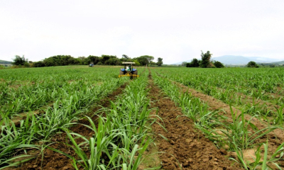 Động lực thúc đẩy kinh tế Gia Lai