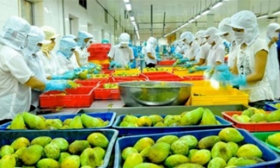 Xuất khẩu rau quả sắp vượt 8 tỷ USD