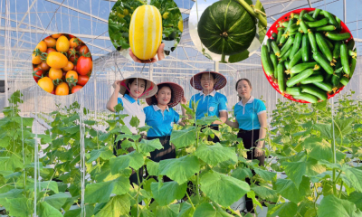 Nữ cán bộ đánh thức tiềm năng vùng gió Lào, cắt trắng