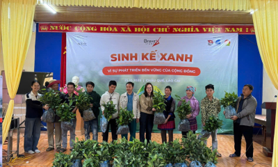 Trao 16.000 cây quế giống sinh kế đồng hành cùng các hộ gia đình khó khăn phục hồi sau bão lũ