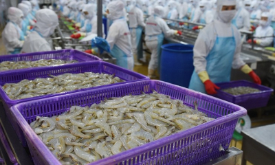 VASEP: Xuất khẩu tôm sang EU có thể tăng chậm lại từ 2026