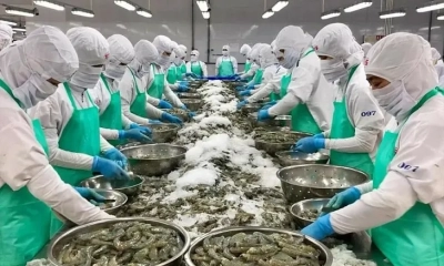 Xuất khẩu tôm quý cuối năm sẽ điều chỉnh giảm, do đâu?