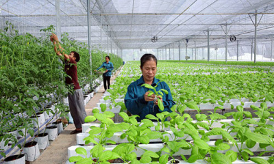 ﻿Cuộc thi khởi nghiệp nông nghiệp 2025: Khi ý tưởng công nghệ đến gần ruộng đồng