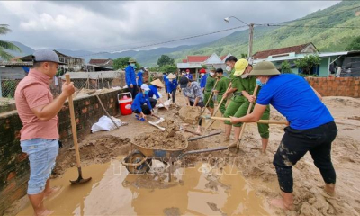 Hỗ trợ hóa chất, giống cây trồng, vật nuôi để khôi phục sản xuất sau lũ