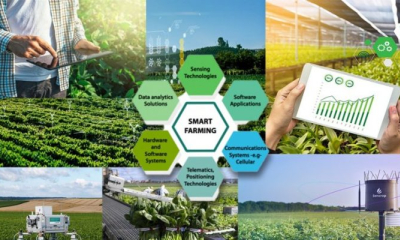 Nông sản Việt bứt phá nhờ... chuyển đổi số