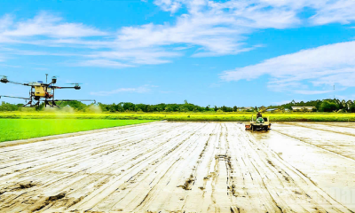 Ngành nông nghiệp và môi trường trong chuyển đổi xanh và phát triển bền vững đất nước