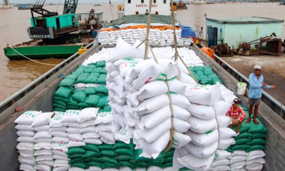 Xuất khẩu gạo chờ tín hiệu mới từ thị trường