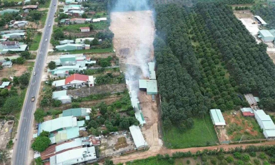 Quảng Ngãi: Đình chỉ cơ sở sấy cà phê gây ô nhiễm môi trường tại Đăk Tô