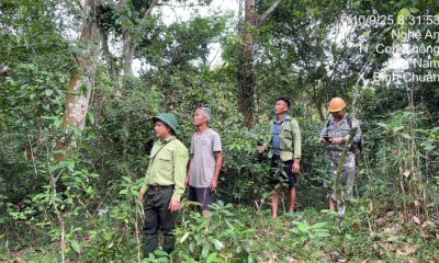 Lợi ích của ERPA với công tác bảo vệ rừng tại Ban quản lý Khu bảo tồn thiên nhiên (BTTN) Pù Huống