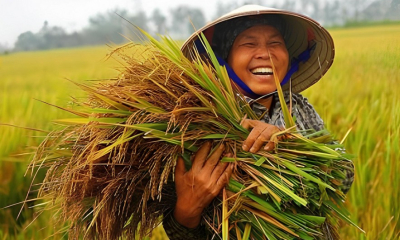 Ngành nông nghiệp triển khai kế hoạch giảm phát thải trong trồng trọt đến năm 2050