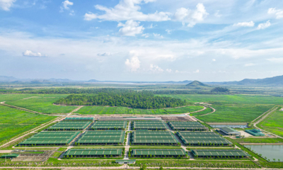 Chủ tịch tỉnh Gia Lai làm việc với THACO AGRI, bàn giải pháp gỡ vướng cho dự án nông nghiệp