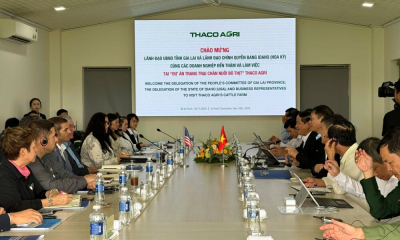Gia Lai – Idaho (Mỹ) bắt tay phát triển bò thịt công nghệ cao