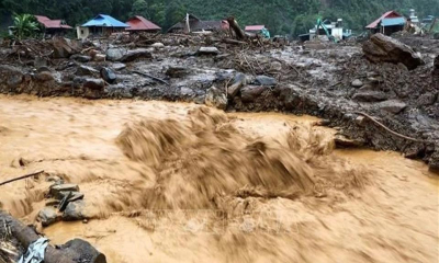 6 tỉnh, thành phố Trung Bộ và Tây Nguyên đảm bảo an toàn đê điều ứng phó bão số 15