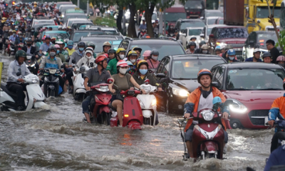 Giải pháp giúp người dân giảm thiệt hại nguồn thu mùa bão