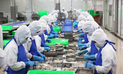 Xuất khẩu thủy sản năm nay có thể cán mốc 11 tỷ USD